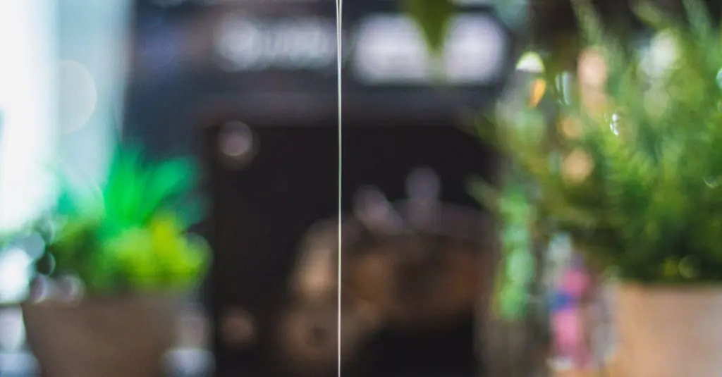 Colorful Dragon Fruit and Halloumi Dish