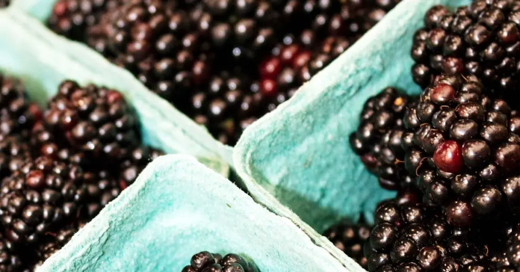 Colorful Farmers’ Market Inspired Recipe