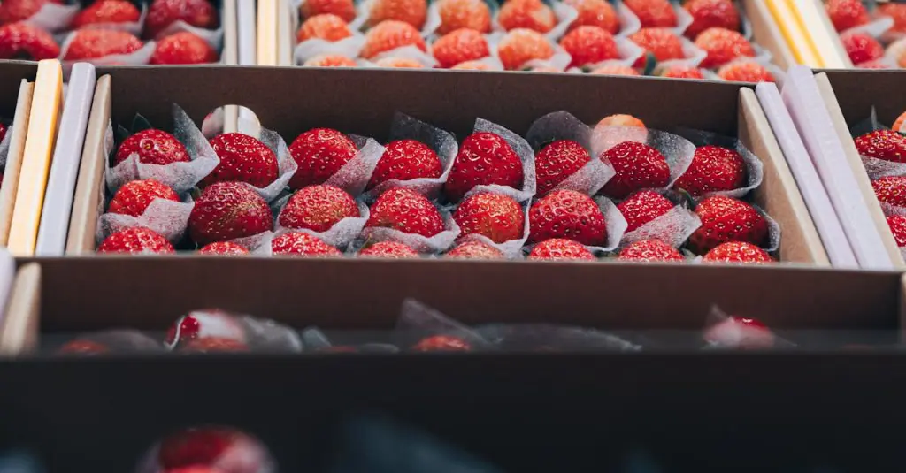 Colorful Seasonal Produce Delight