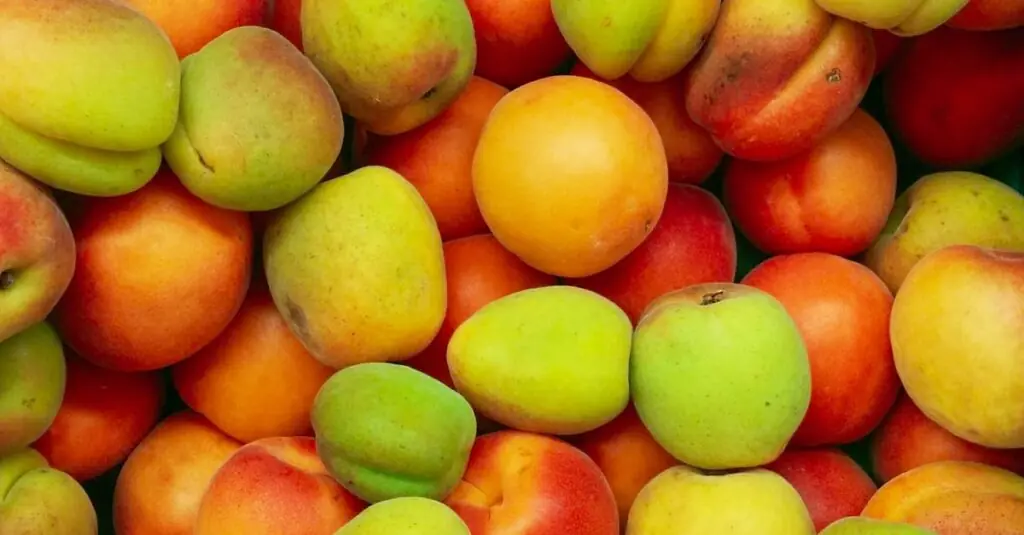 Summer Delight: Smoked Salmon and Peach Salad You Need to Try!