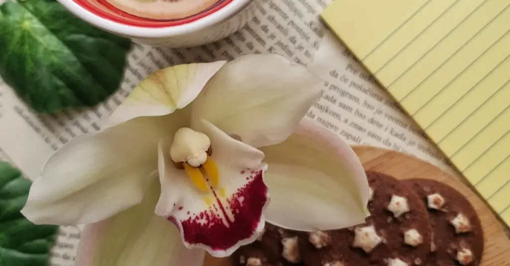 Delicious Fusion Recipe: Sweet Potato Gnocchi with Lemon-Basil Pesto