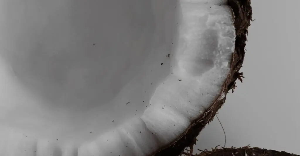 Tropical Twist: A Bold and Exotic Recipe