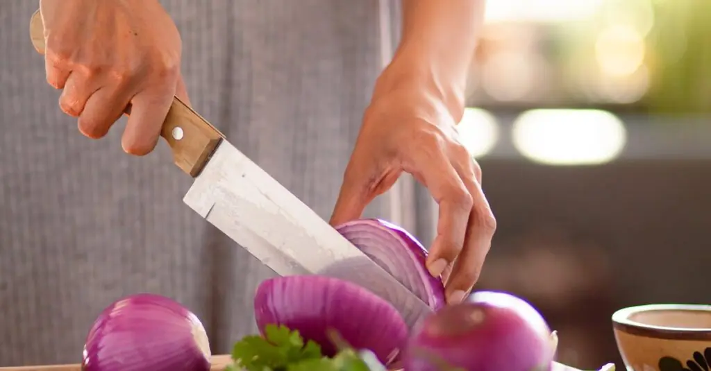 Savor the Sunshine: Watermelon Steak Tacos with Cilantro Lime Sl