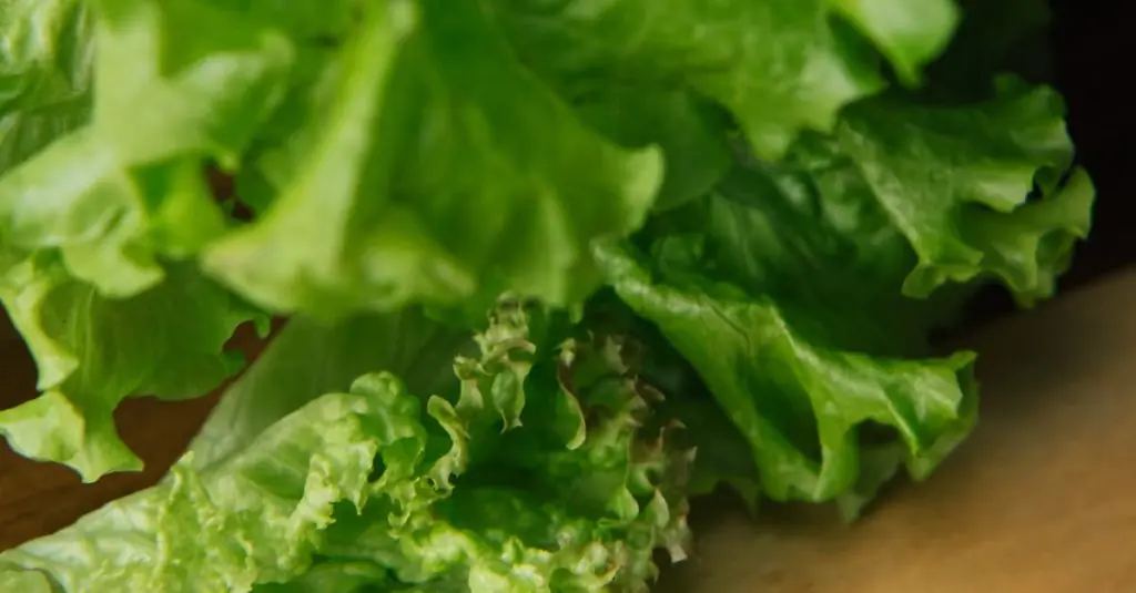 Vibrant Summer Salad Recipe