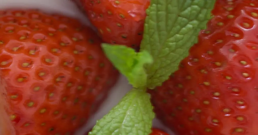 Summer Refreshment: Watermelon Gazpacho Recipe