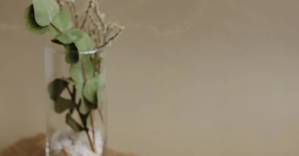 Green Tea Pancakes: A Deliciously Unexpected Twist!