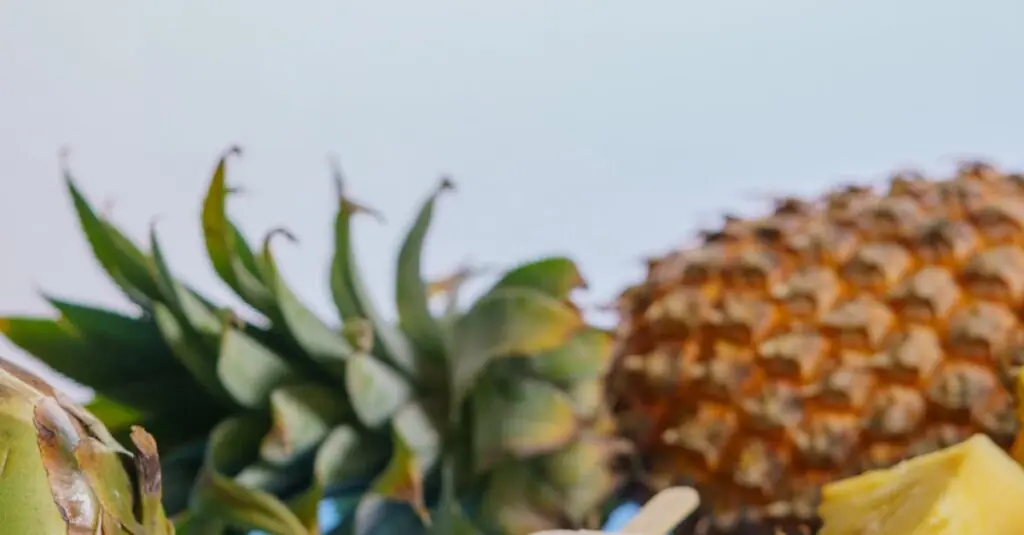 Savor the Unexpected: Smoky Bacon-Wrapped Pineapple Bites