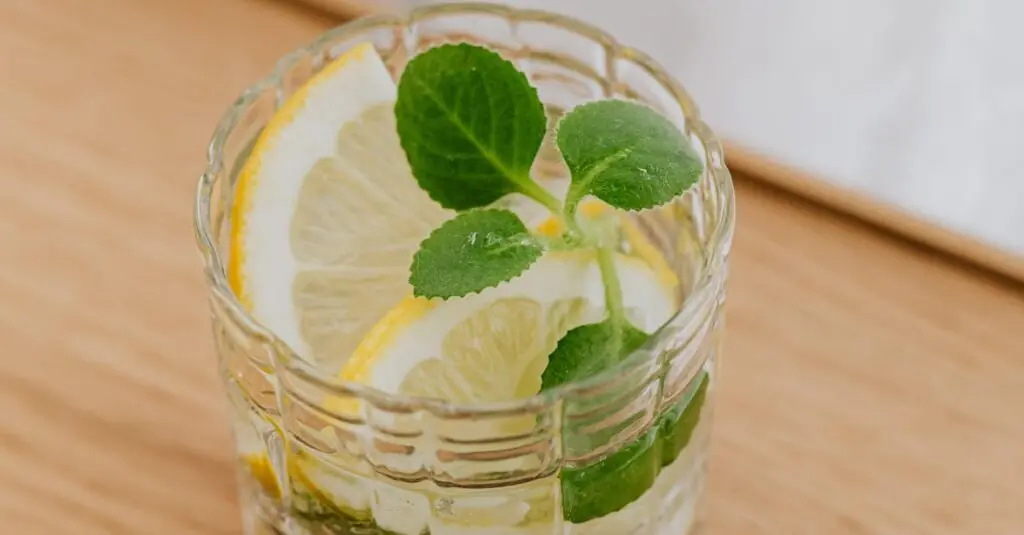 Zesty Lemonade Spritzer: The Perfect Summer Refresher!