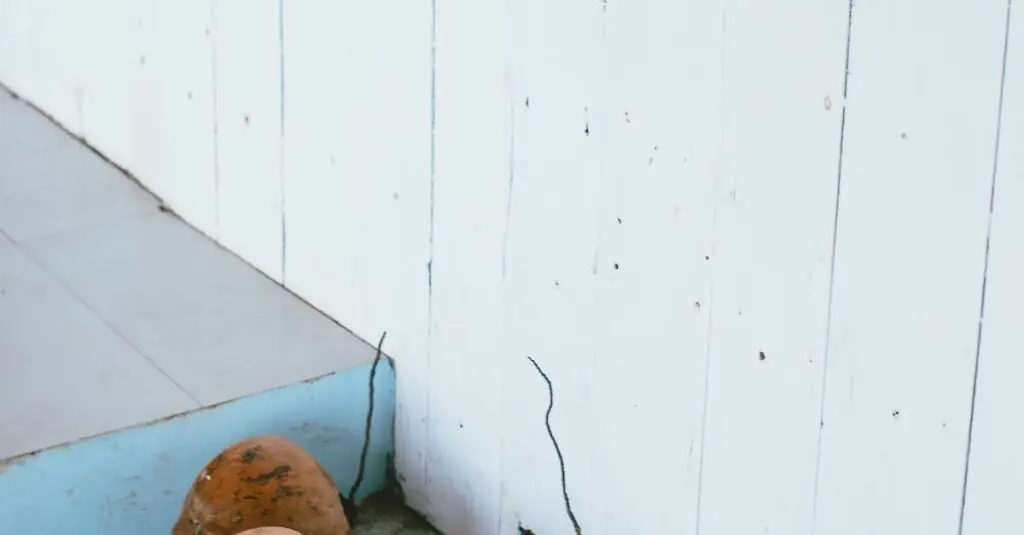 Escape to Paradise with this Coconut Mango Tango Tart