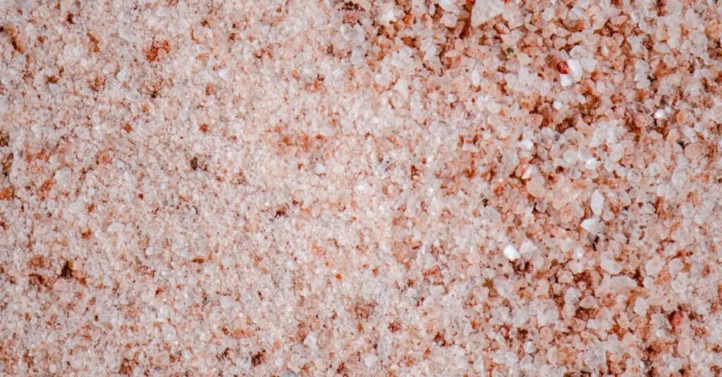 Taste of Summer: Peachy Pork Tacos Recipe