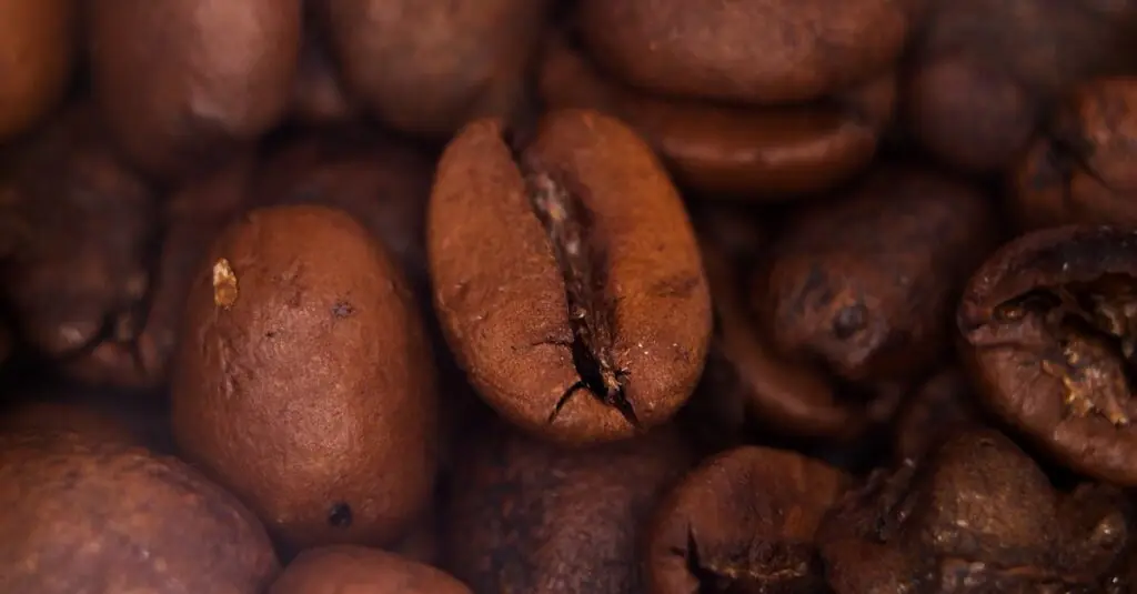 Taste the Magic: Moroccan-Inspired Stuffed Bell Peppers
