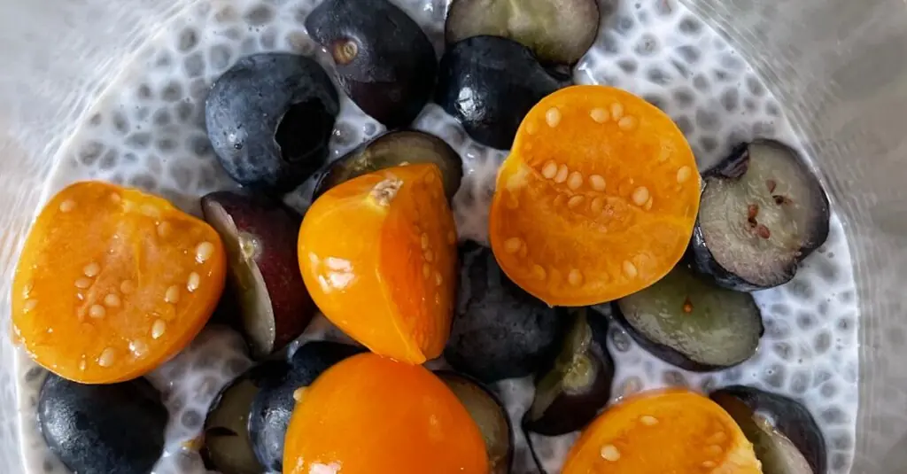 Decadent Chia Seed Chocolate Pudding Recipe for Guilt-Free Ind