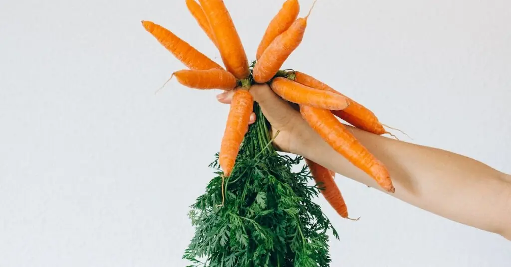 Decadent Pumpkin Risotto: A Flavorful Twist with Bacon and Gorg