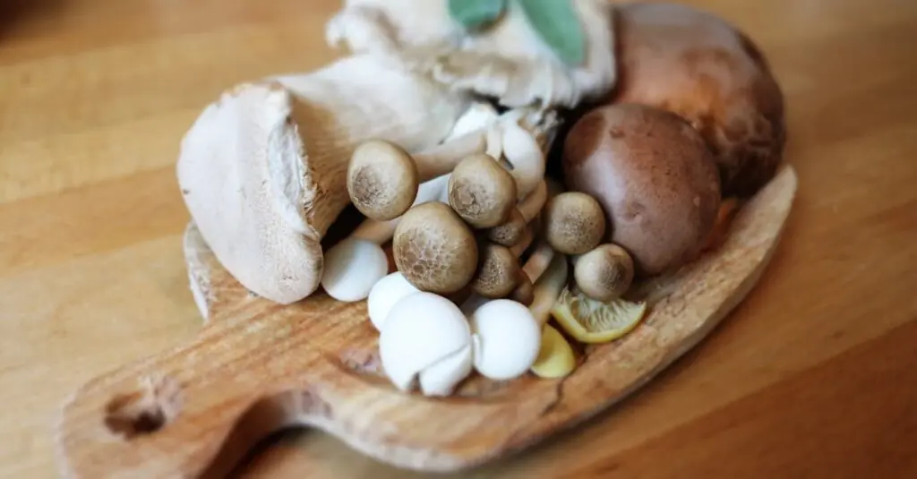 Savor the Earthy Delights: Exotic Mushroom Tofu Stir-F