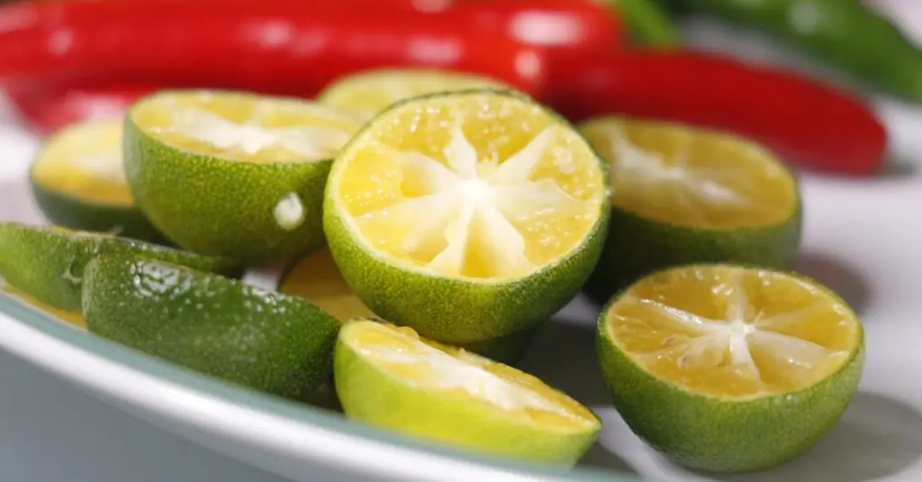 Tropical Spicy Chicken Taco Recipe