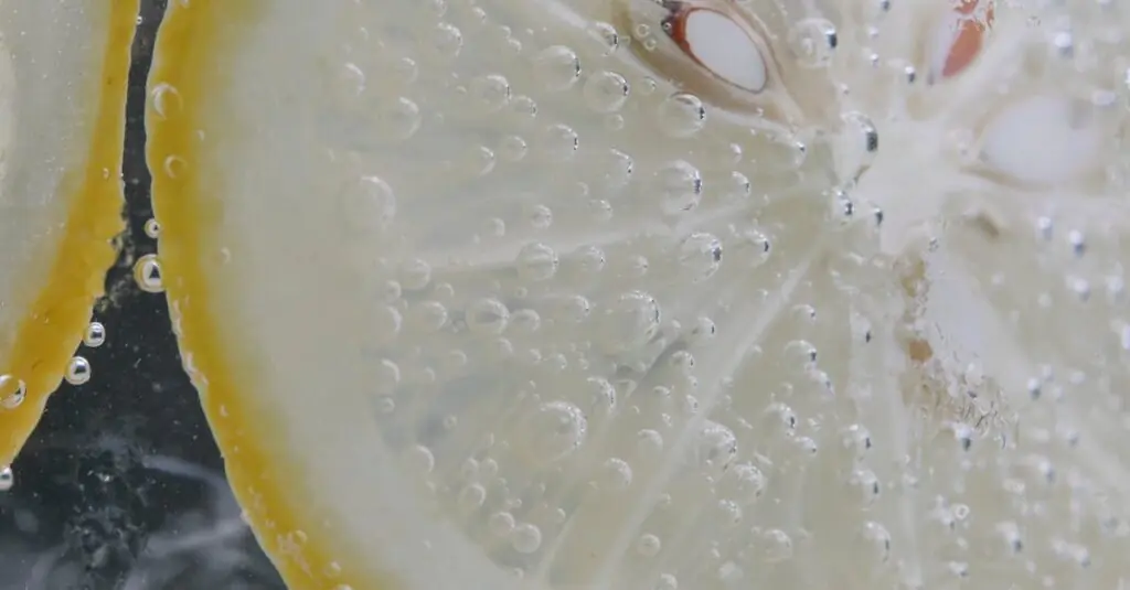 Cool Down with this Sparkling Hibiscus Lemonade Recipe!