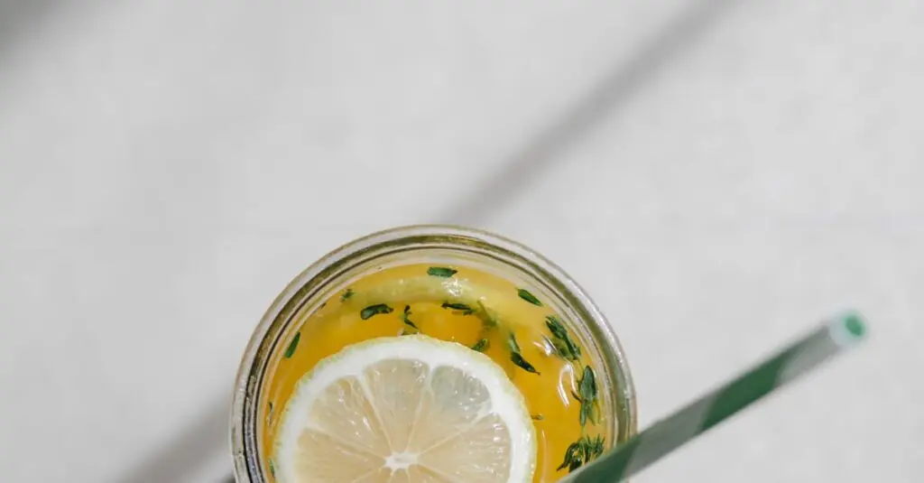 Refresh Your Summer with Homemade Blueberry Basil Sorbet – A Sweet and Tang