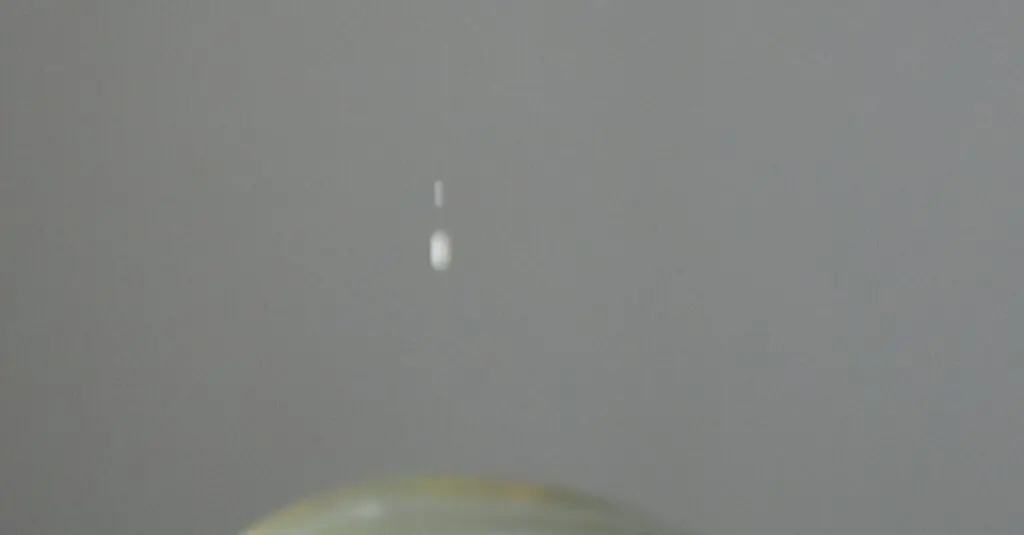 Tropical Twist: Caramelized Pineapple and Basil Ice Cream Recipe