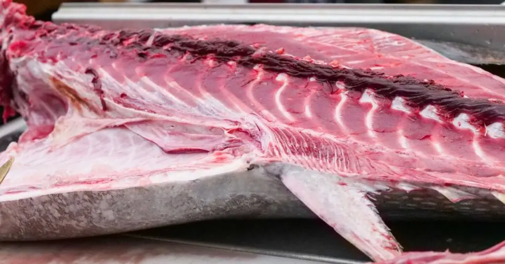 Sizzle Your Tastebuds with Spicy Mango Salmon Tacos!