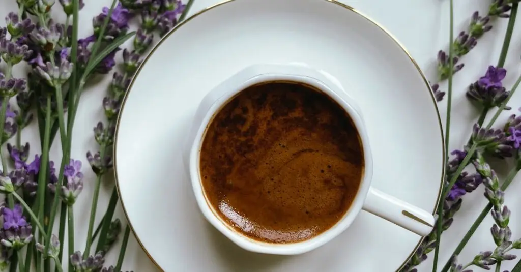 Elegant Duck Breast Recipe with Lavender-Honey Glaze