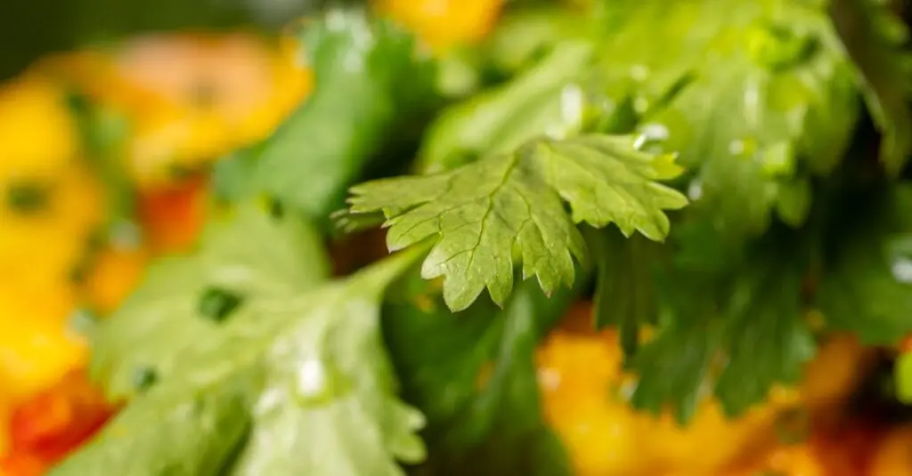 Tropical Coconut Shrimp Curry Delight
