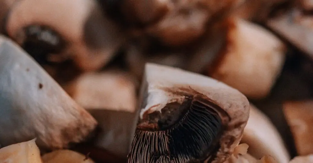 Mushroom Strawberry Risotto Recipe
