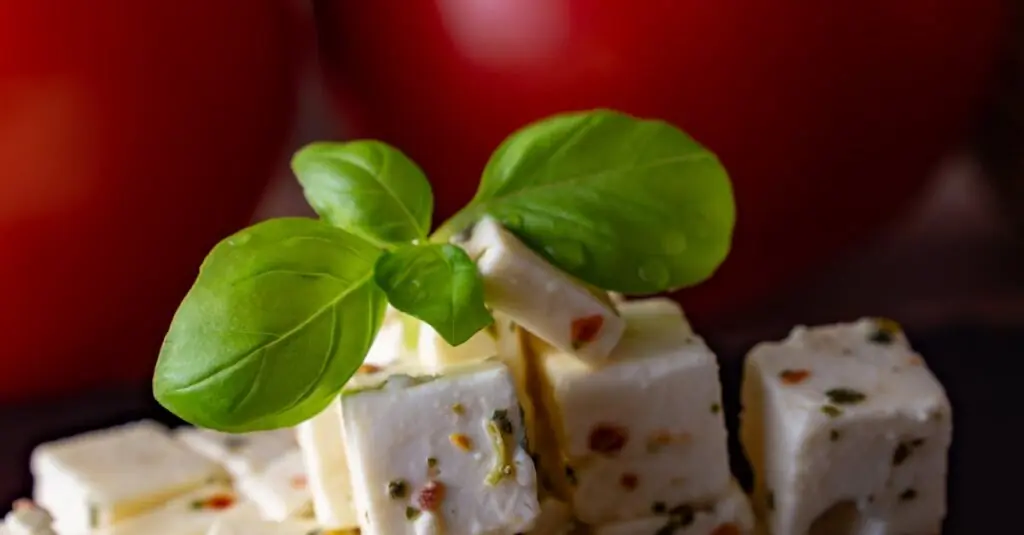 Savory Blueberry Feta Salad Recipe