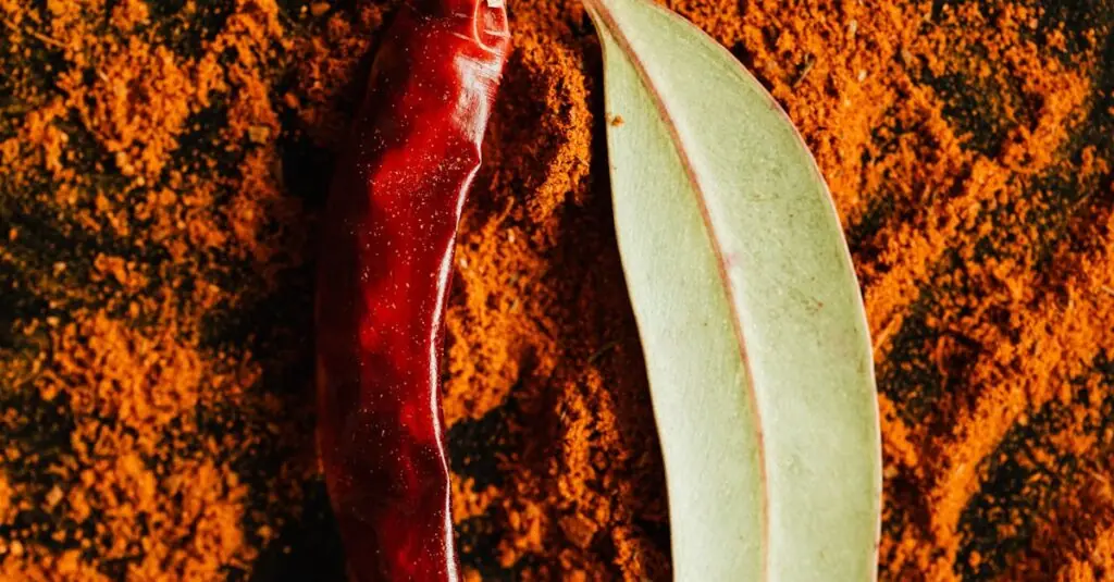 Unique Spicy Chocolate Avocado Mousse Recipe