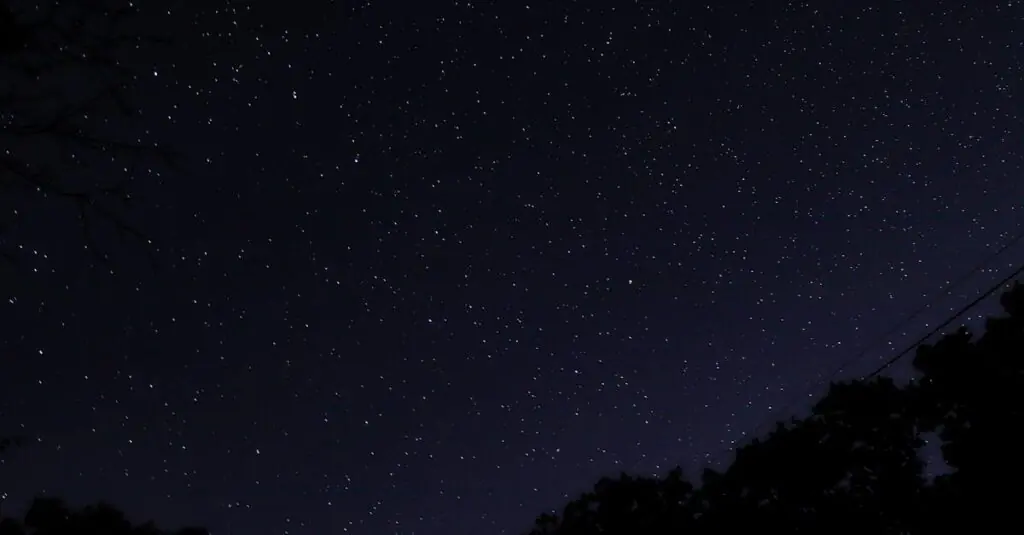 Discover the Enchantment of the Midnight Mooncake Surprise